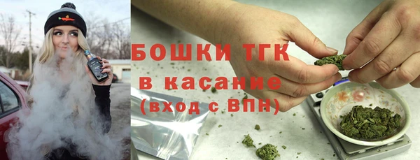ГАЛЛЮЦИНОГЕННЫЕ ГРИБЫ Аркадак