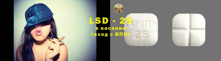 ГАЛЛЮЦИНОГЕННЫЕ ГРИБЫ Аркадак