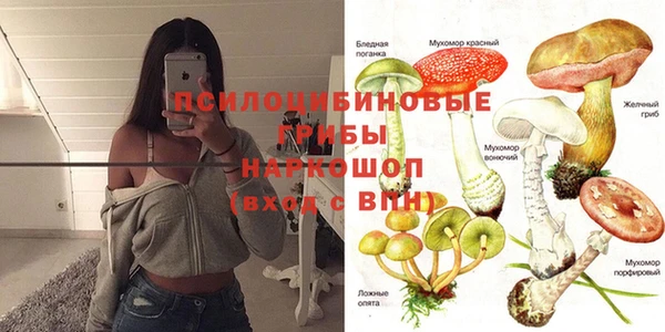 МДПВ Алексеевка