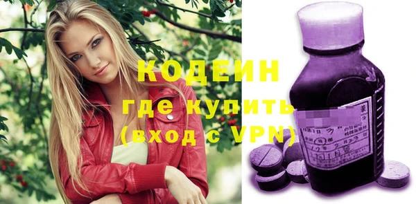 гидра Арсеньев