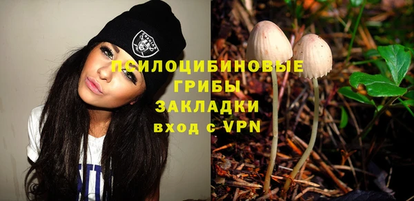 МДПВ Алексеевка