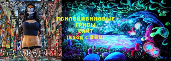 ГАЛЛЮЦИНОГЕННЫЕ ГРИБЫ Аркадак