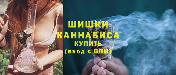 ГАЛЛЮЦИНОГЕННЫЕ ГРИБЫ Аркадак