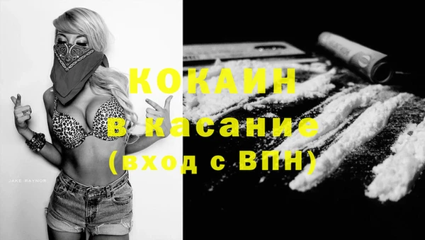 ГАЛЛЮЦИНОГЕННЫЕ ГРИБЫ Аркадак